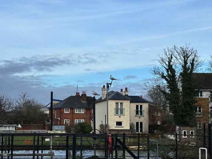 River Kennet in Reading