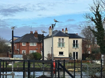 River Kennet in Reading at Kennetside, Reading RG1 3JP on Dec 26, 2023