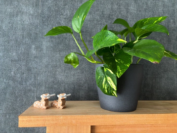 Walking to Reading Green Park and Beer at 100 Longwater Ave, Reading RG2 6GP on Jan 27, 2024