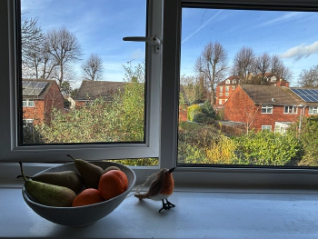 Walking to Reading Green Park and Beer at 100 Longwater Ave, Reading RG2 6GP on Jan 27, 2024