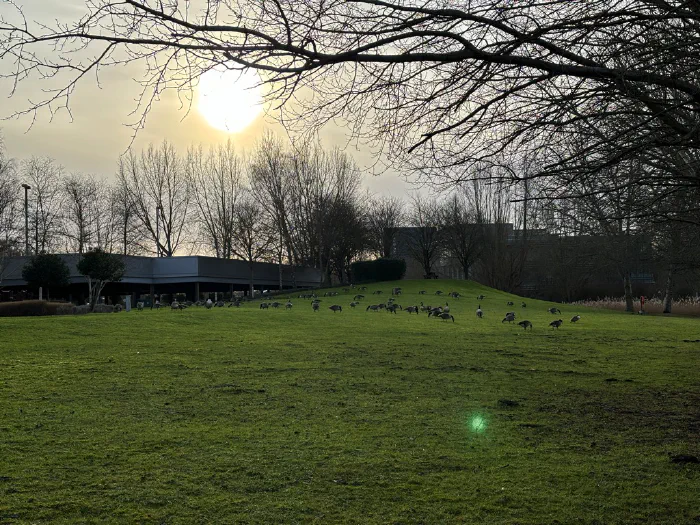 Walking to Reading Green Park and Beer