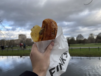 Photos of the Week: A Fox in London at Wynyatt St, London EC1V 4PA on Jan 24, 2026