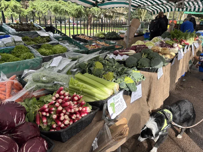 Photos of the Week: Fresh vegetables at Victoria Park Market