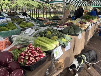 Fresh vegetables at Victoria Park Market on a Sunday morning, East London